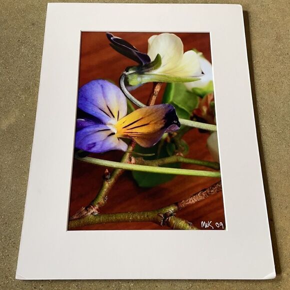 Bright & Beautiful Orchid Photograph Matted Print MIK 2009 - Picture 9 of 12